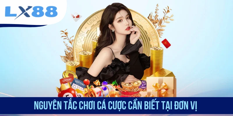 Nguyên tắc chơi cá cược cần biết tại đơn vị